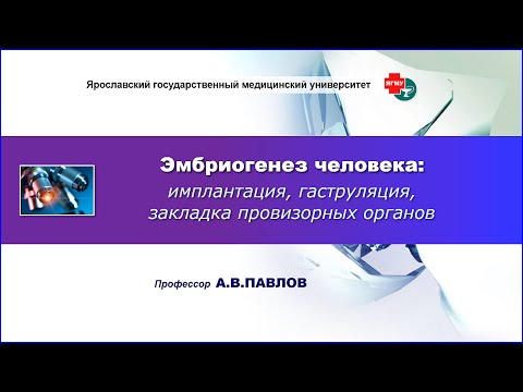 Видео: Эмбриогенез человека: имплантация, гаструляция, закладка провизорных органов