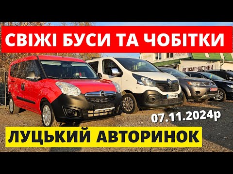 Видео: СВІЖІ ЦІНИ НА БУСИ ТА ЧОБІТКИ /// ЛУЦЬКИЙ АВТОРИНОК /// 7.11.2024р. #буси #автопідбір #автобазар