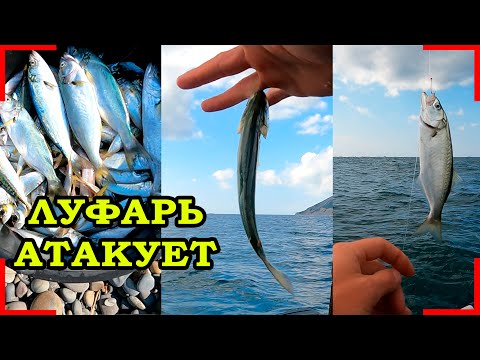 Видео: РЫБАЛКА НА ЛУФАРЯ  В ШТОРМ. РЫБАЛКА 2021