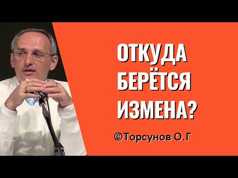 Видео: Откуда берётся измена? Торсунов лекции