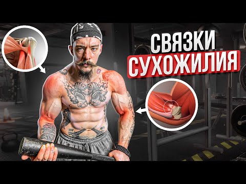 Видео: КАК УКРЕПИТЬ СВЯЗКИ И СУХОЖИЛИЯ?