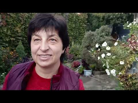 Видео: Пока солнце не село,посажу чеснок...