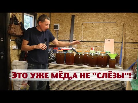 Видео: Первая стена дома и рекордное количество мёда!