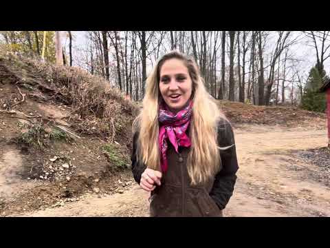 Видео: Обновление второй недели ноября!