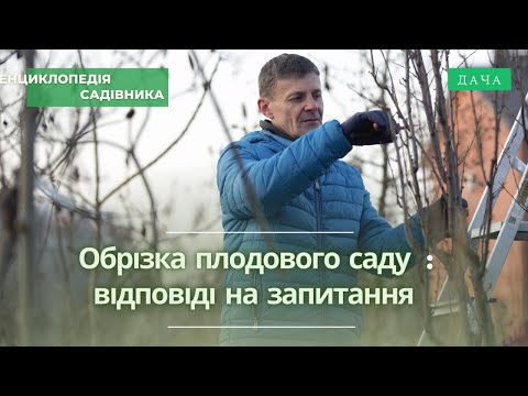 Видео: Обрізка Плодового Саду. Відповіді На Питання. Частина 4. Чи Важливий Вік Саджанців?