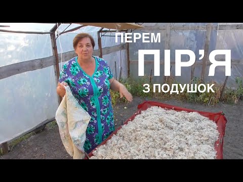 Видео: Як ми прали піря з подушок - Олександр і Лідушка. Домашні клопоти