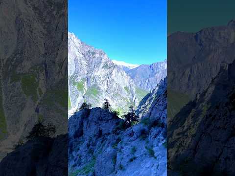 Видео: Харуз кор кор кор безор шудем аз кор😔 #fazlmedia #youtubeshorts #2025