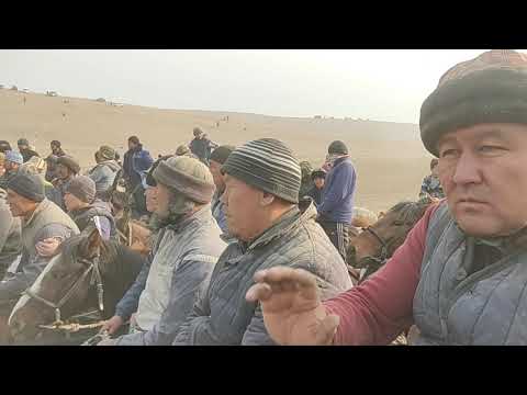 Видео: Ачы Эниш 14 ноября 2021 г.