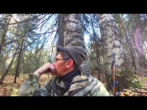 Видео: Ночные заморозки. Красивый выстрел по рябчику. Домик из бересты. 5 серия