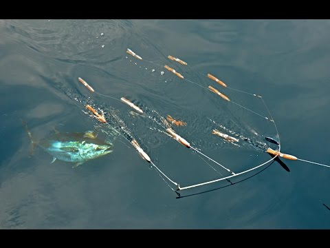 Видео: Ловля голубого тунца в The Claw с батончиками SI Flexi-Bar Squid Bars