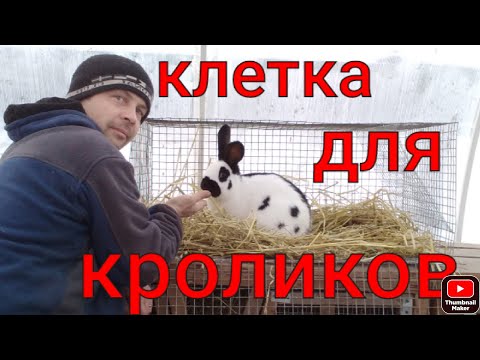 Видео: Как сделать клетку для кроликов из сетки.От А до Я