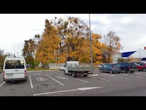 Видео: Автор канала утром 30 октября рассуждает о жизни...