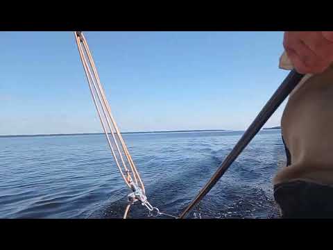 Видео: Нашли переход через косу. Залезли в дебри