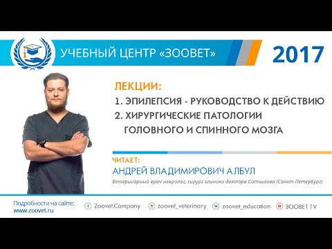 Видео: Албул А. В. в УЦ «Зоовет» | Эпилепсия, хирургические патологии головного и спинного мозга, ч. 1