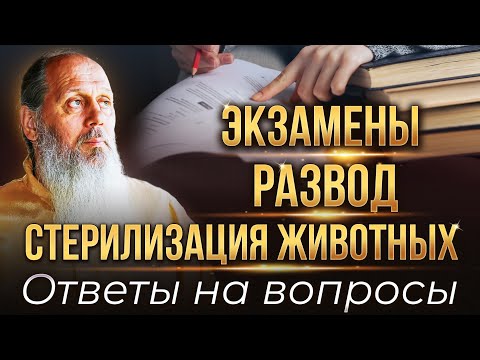 Видео: О. Владимир Головин. Ответы на вопросы. 15 апреля, 2025 год.