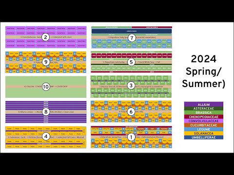 Видео: Полный план сада на 2024 год