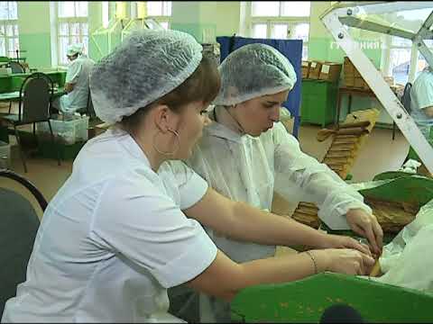 Видео: Есть такая профессия. Торседор