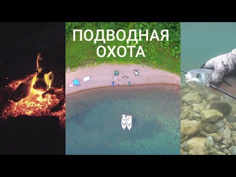 Видео: Подводная охота. Отдых на островах.