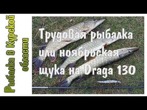 Видео: Щука в ноябре на спиннинг или Draga 130 SP вне конкуренции