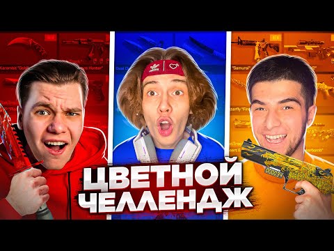 Видео: У КОГО ЛУЧШЕ ИНВЕНТАРЬ ПО ЦВЕТУ В STANDOFF 2? ЦВЕТНОЙ ЧЕЛЛЕНДЖ ft. GentlemaN, NAVI ТРЕНЕР