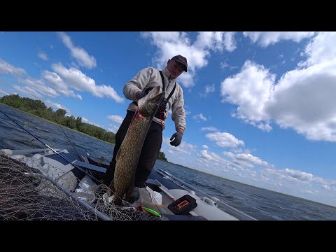 Видео: ВОТ ЭТО РЫБИНА! МОЙ НОВЫЙ РЕКОРД ПО ЩУКЕ! РЫБАЛКА НА СПИННИНГ!