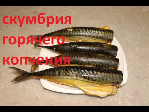 Видео: Самая вкусная скумбрия горячего копчения - Hot smoked mackerel recipes