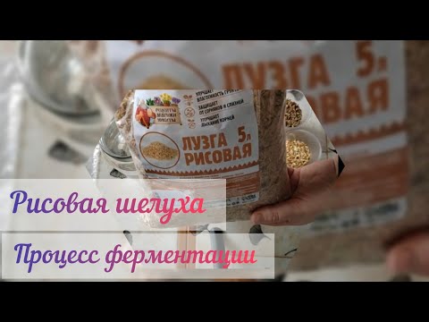 Видео: #ферментированная рисовая шелуха#добавка для грунта#процесс ферментации в домашних условиях