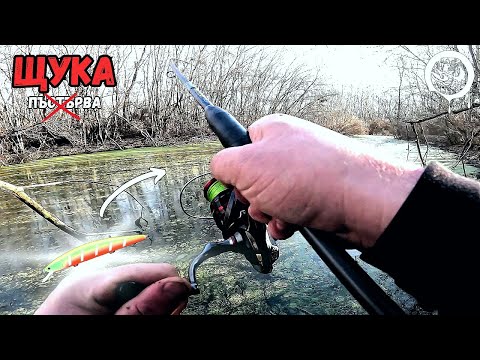Видео: Щуки в деня на откриването на сезона за риболов на пъстърва