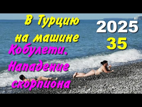 Видео: В Турцию на машине. 2025, ч-35. Кобулети. Нападение скорпиона