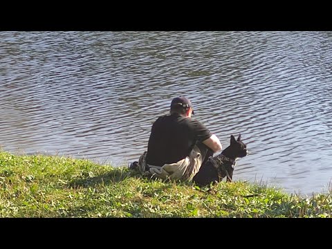 Видео: Осень в парке Кузьминки