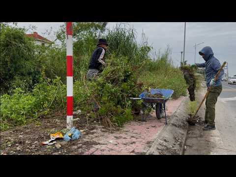 Видео: Уберите заросшую траву и мусор с тротуаров, чтобы восстановить безопасный проход