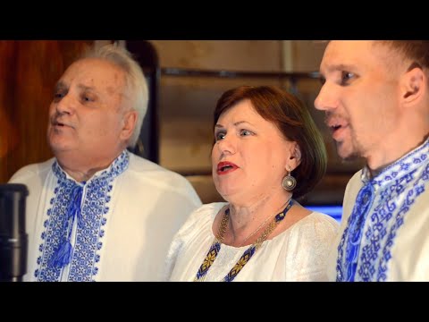 Видео: Поле моє - SUBOTENKO BAND