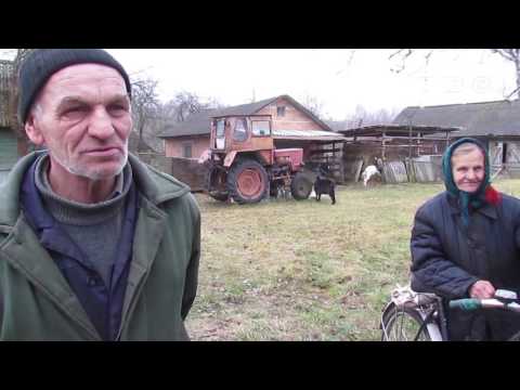 Видео: Репортаж из деревни Заводный лес (Волчьи Норы, Слонимский район)