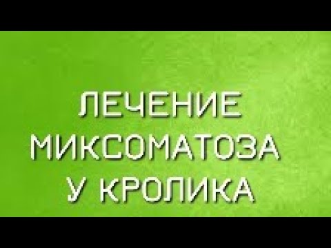 Видео: КАК ЛЕЧИТЬ МИКСОМАТОЗ У КРОЛИКОВ. ПРИЧИНЫ И СИМПТОМЫ МИКСОМАТОЗА, ПРОФИЛАКТИКА, ЛЕЧЕНИЕ МИКСОМАТОЗА