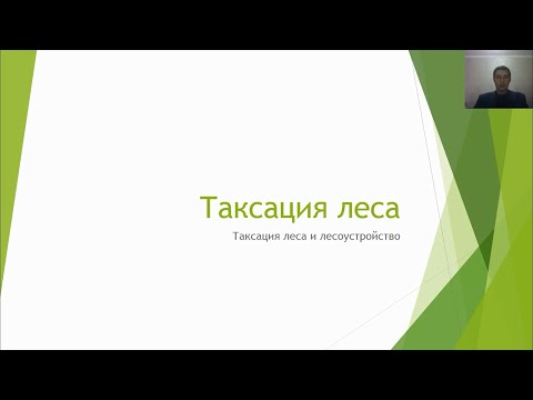 Видео: Таксация леса  2 2 3 курс Лесное дело