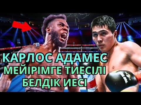 Видео: КАРЛОС АДАМЕС ЖАЙЛЫ ДЕРЕКТІ ФИЛЬМ. Кәсіпқой бокс