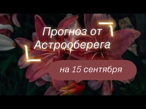 Видео: Лера Астрооберег делает прогноз на 15 сентября. 🔮 Смотрите сейчас! Главные енергии дня!