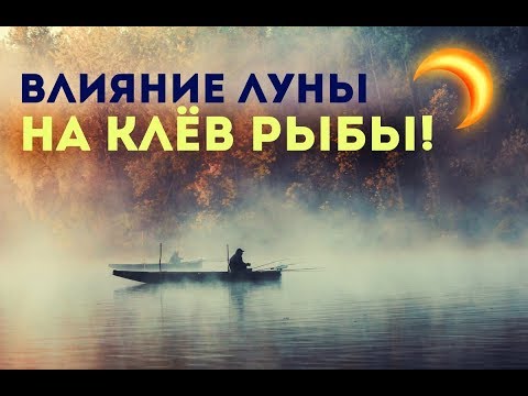 Видео: Влияние луны на клёв рыбы! Как влияет луна на рыбу в водоёме?