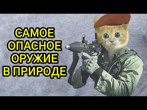 Видео: Какое оружие у животных САМОЕ ЭФФЕКТИВНОЕ?