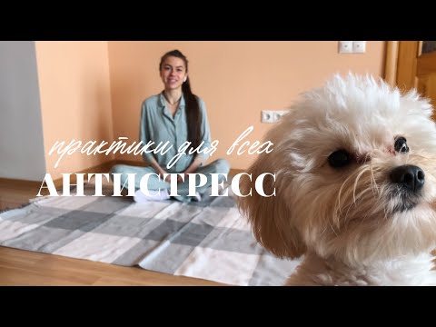 Видео: ИЗБАВИТЬСЯ ОТ ТРЕВОГИ И СТРЕССА | самые простые практики