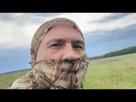 Видео: Охота на косулю. Удачное открытие охоты.