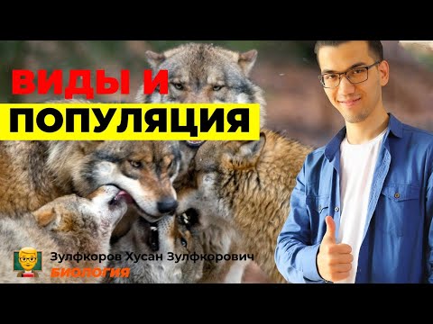 Видео: Виды и популяции