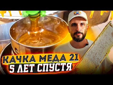 Видео: ОТКАЧКА МЁДА 2021/ как качаю мёд 5 лет спустя