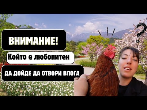Видео: ДНЕВЕН ВЛОГ ЗА ЛЮБОПИТНИ ВНУЧЕТА! КАК ВЪРВЯТ РАЗСТЕНИЯТА? 🌿💚