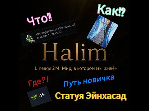 Видео: Lineage 2m | Путь новичка,✅ статуя Эйнхасад,😇 стартуем вместе правильно!✅ #lineage2m #mmorpg #halim