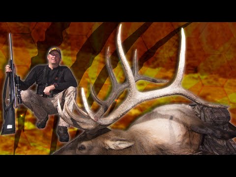 Видео: Охота на медовый олень с медведями гризли в Гае Истмене