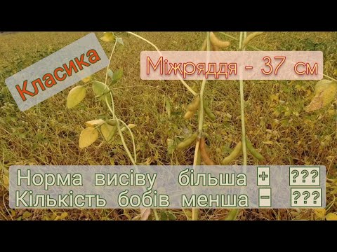 Видео: 28.08.22 Соя Хайстар на класиці