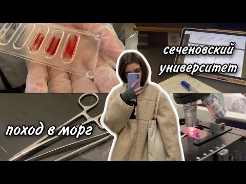 Видео: Vlog: поход в МОРГ!!! Неделя учебы в меде (Сеченовский университет)