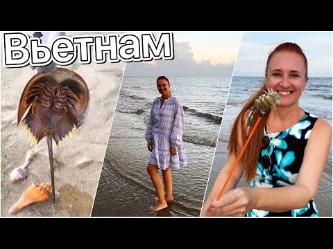 Видео: Ловим ФУГУ и морских раков Красота и монстры океана Отдых на пляже Вьетнам влог Люда Изи Кук Vietnam