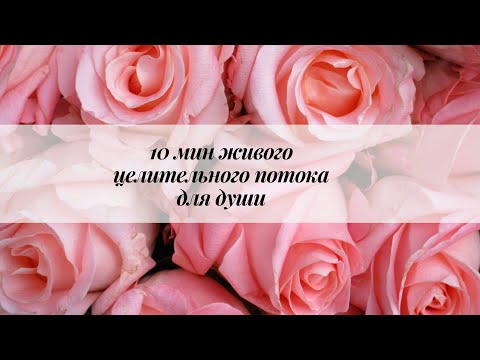 Видео: 🗝 Это именно ТО, что исцелит ваши отношения НАВСЕГДА 🤍 10 мин живого целительного потока для вас✨️🥰💐